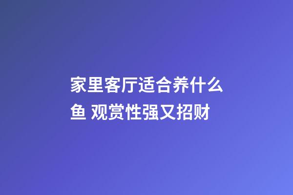 家里客厅适合养什么鱼 观赏性强又招财